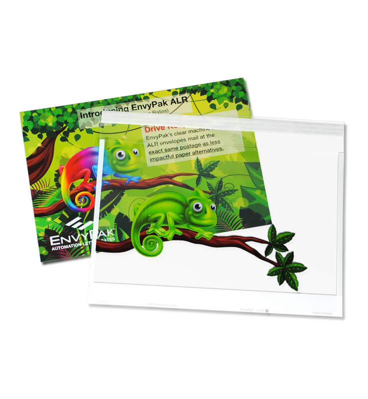 6" x 9"- (white frame)<br>ALR - Clear Booklet Envelopes 3 6" x 9"- (white frame)<br>ALR - Clear Booklet Envelopes - Image 3